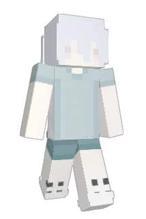 Nakkichan Minecraft avatar full body