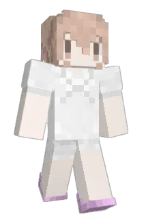 Nal3824 Minecraft avatar full body