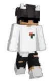 Nalpys Minecraft avatar full body