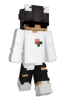 Nalpys Minecraft avatar full body