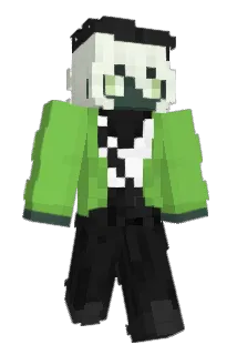 Name_1233 Minecraft avatar full body