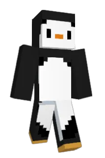 Name_1235 Minecraft avatar full body