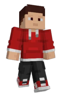 Named28 Minecraft avatar full body
