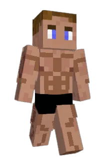 Namerr Minecraft avatar full body