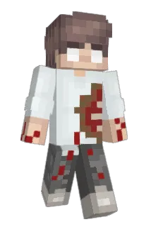 Nametab512 Minecraft avatar full body