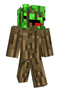 Namu_ Minecraft avatar full body