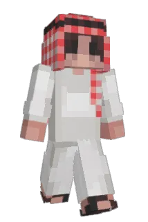 Nanaintj Minecraft avatar full body