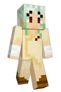 Naota22 Minecraft avatar full body