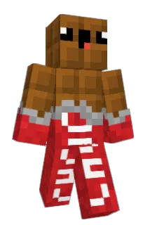 Napstamate Minecraft avatar full body