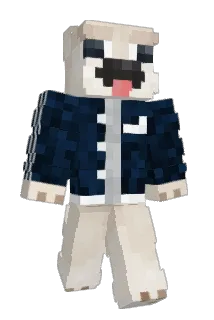 Napt0 Minecraft avatar full body