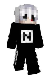 Naqvity Minecraft avatar full body