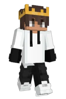 Narasinga16 Minecraft avatar full body