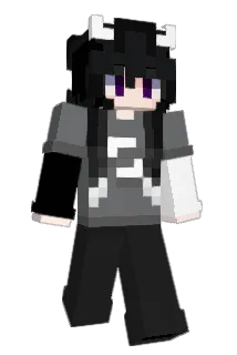 NariNolife Minecraft avatar full body