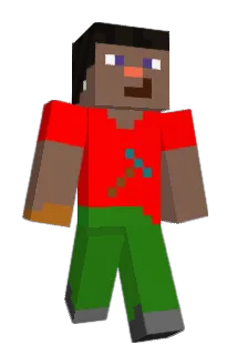 Narkly Minecraft avatar full body