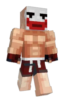 Narp_Narp Minecraft avatar full body