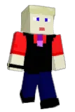 Narroth_ Minecraft avatar full body