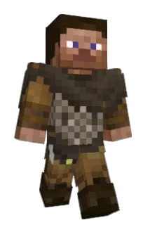 NarrowX Minecraft avatar full body