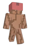 Narthex Minecraft avatar full body