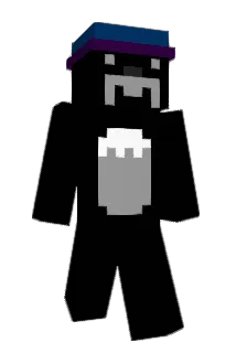 Narvaez_ Minecraft avatar full body