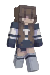 NarwalPops Minecraft avatar full body