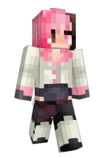 Narwhal69 Minecraft avatar full body