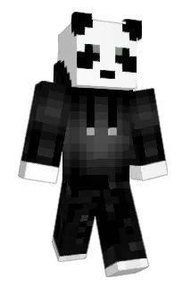 Narwhale8 Minecraft avatar full body