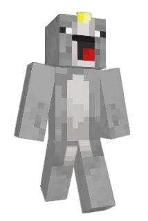 NarwhaleTamer Minecraft avatar full body