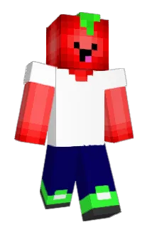 Natedoge11 Minecraft avatar full body