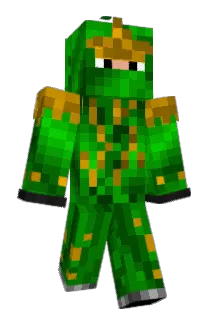 Nateron1111 Minecraft avatar full body