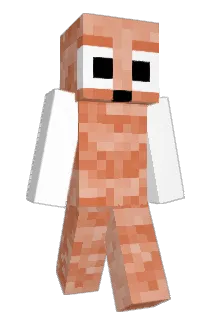 Nathigamergg Minecraft avatar full body