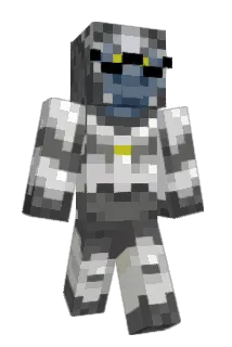 NationalTarget Minecraft avatar full body