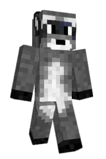 Nattiep13 Minecraft avatar full body