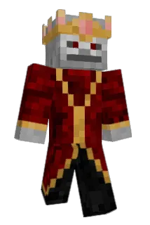 Natural21 Minecraft avatar full body