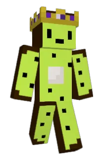 NaturalKiwi_ Minecraft avatar full body