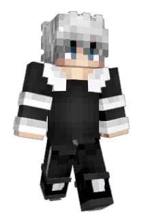 NavigationPrivee Minecraft avatar full body