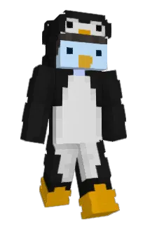 Nawoks Minecraft avatar full body