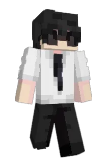 Nc29_ Minecraft avatar full body