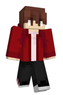 NdvS Minecraft avatar full body