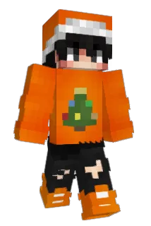 NeLeg1tniyDoge Minecraft avatar full body