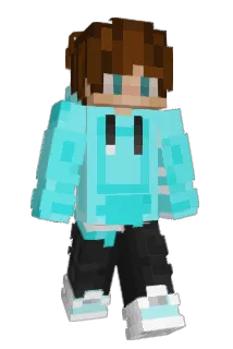 NeTsub Minecraft avatar full body