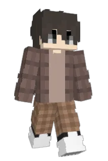 NearTeam Minecraft avatar full body