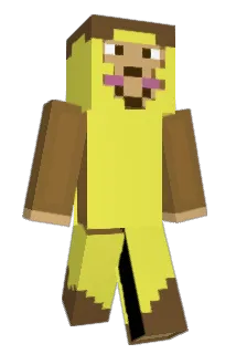 NebelSkill Minecraft avatar full body