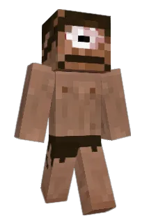 Neburaa Minecraft avatar full body