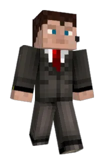 Nedblocks Minecraft avatar full body