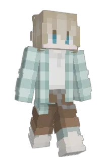 NeebNeeb Minecraft avatar full body