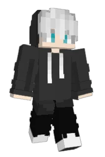 Neejoo Minecraft avatar full body