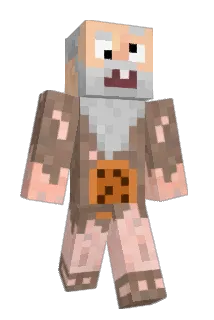 Neemm Minecraft avatar full body