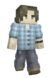 Neevaras Minecraft avatar full body