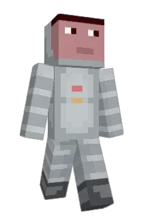 Nehses Minecraft avatar full body