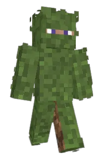 Neidra_Nilsem Minecraft avatar full body